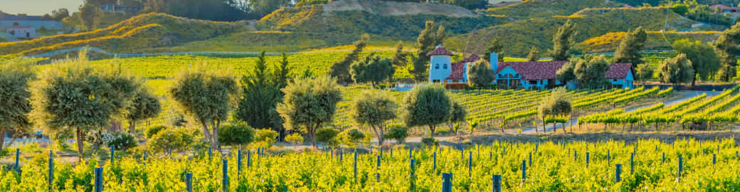 Felicia Morales Top real estate agent in Temecula