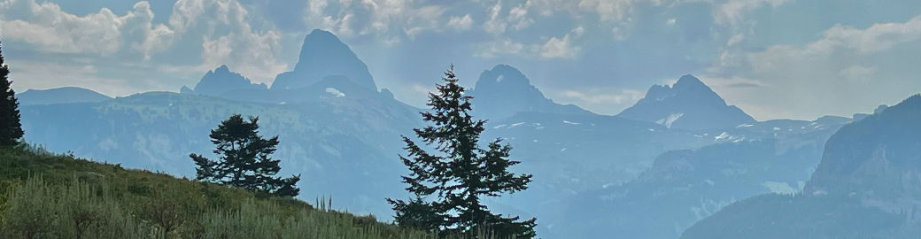 Andrea Loban Top real estate agent in Driggs