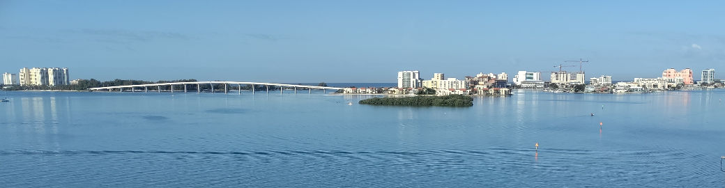 Tim Wood Top real estate agent in St Petersburg