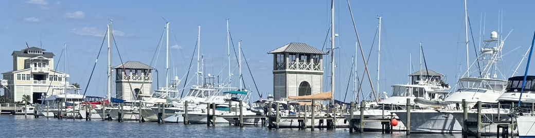 Donna Haynes Top real estate agent in Gulfport