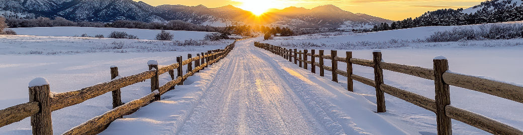 Amy Lee Hoffmann Top real estate agent in Castle Rock