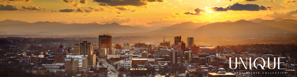 Heidi DuBose Top real estate agent in Asheville