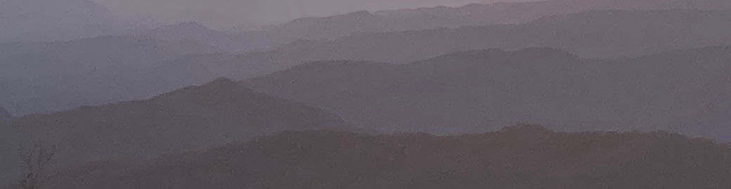 Marsha Neese Top real estate agent in Asheville
