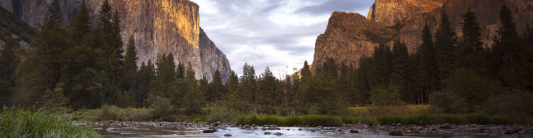 Corey Loeffler Top real estate agent in Southaven