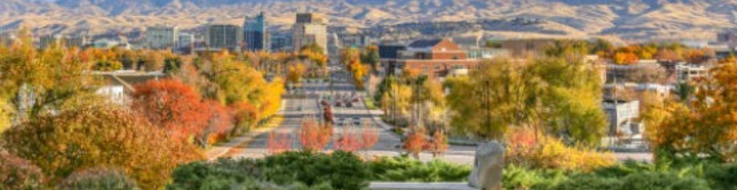 Shirley Robertson Top real estate agent in Nampa