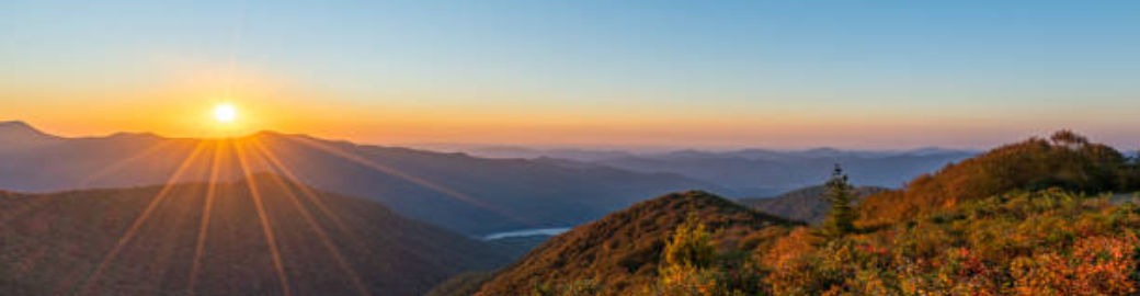 Tracey Novak Top real estate agent in Asheville