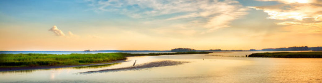 Christie Bishop Top real estate agent in Annapolis
