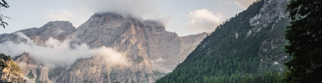 Karly Feagans Top real estate agent in Kansas City