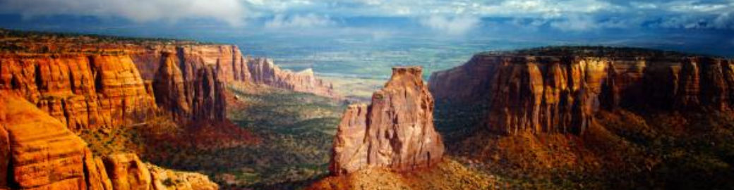 Shelly Cross Top real estate agent in Grand Junction