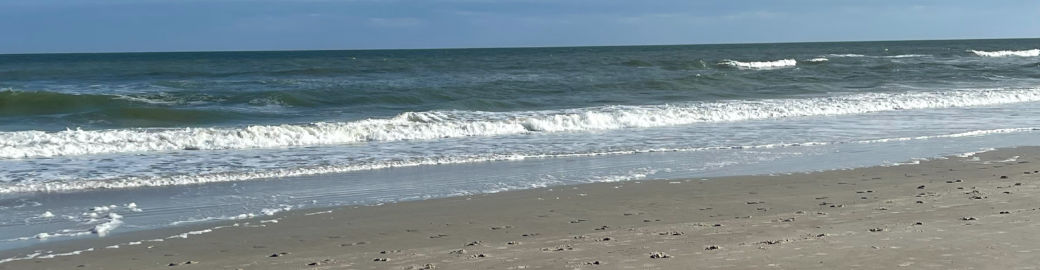 Courtney Russell Top real estate agent in Fernandina Beach