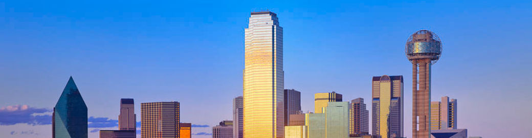 Morgan Schneider Top real estate agent in Dallas