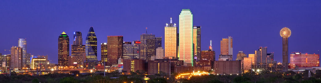 Vonda Bailey Top real estate agent in Wylie