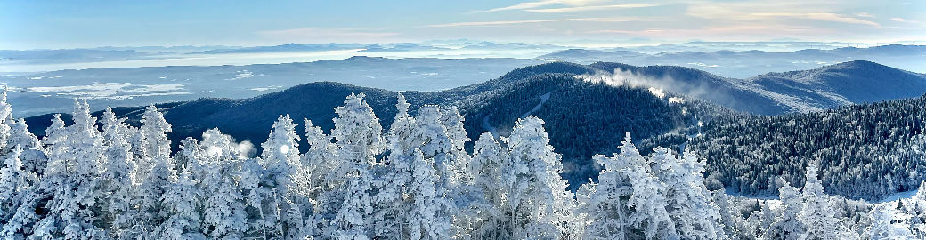 Mary Tryhorne Top real estate agent in Williston