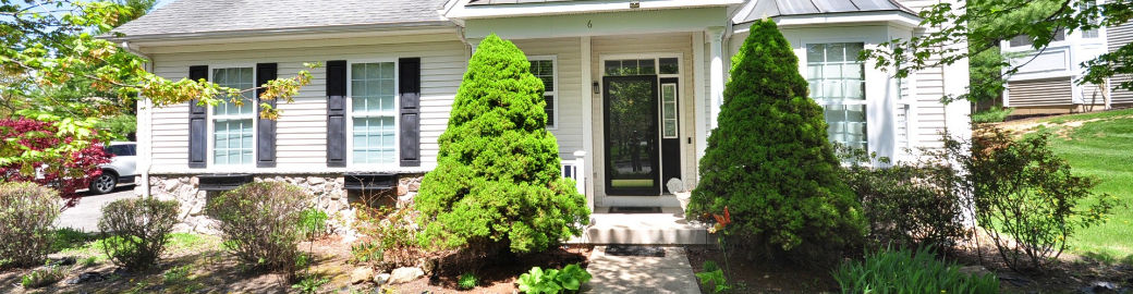 Nutan Pawar Top real estate agent in Guilford
