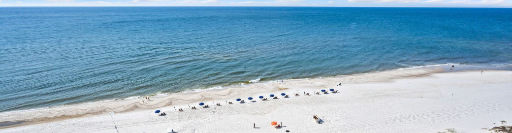 Kristie Wheeles Top real estate agent in Gulf Shores
