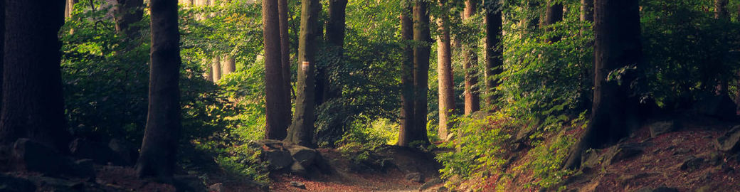 Taylor Pettway Top real estate agent in Mobile