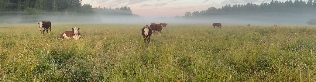 Crissy Impero Top real estate agent in Bellingham