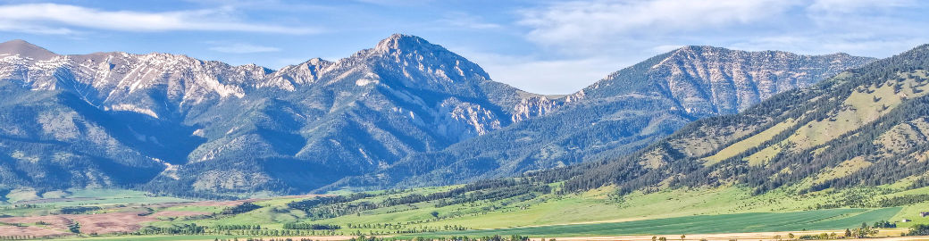 Nicole Taranto Top real estate agent in Bozeman
