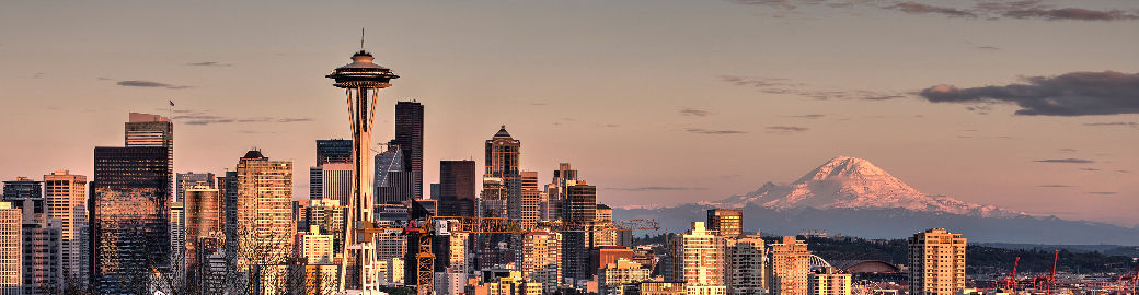 Robin Sheridan Top real estate agent in Seattle