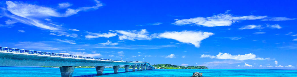 DeAna Herndon Top real estate agent in Jacksonville