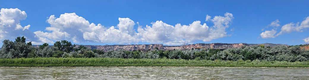 Jenny Koch Top real estate agent in Grand Junction