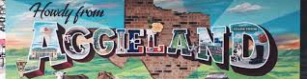 Lisa Cadena Craig Top real estate agent in College Station