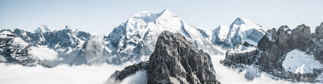 Nicole Gora Top real estate agent in Brick Township