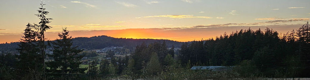 Daniela Sardo Top real estate agent in Damascus