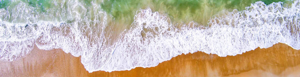 Laina Collins Top real estate agent in Emerald Isle