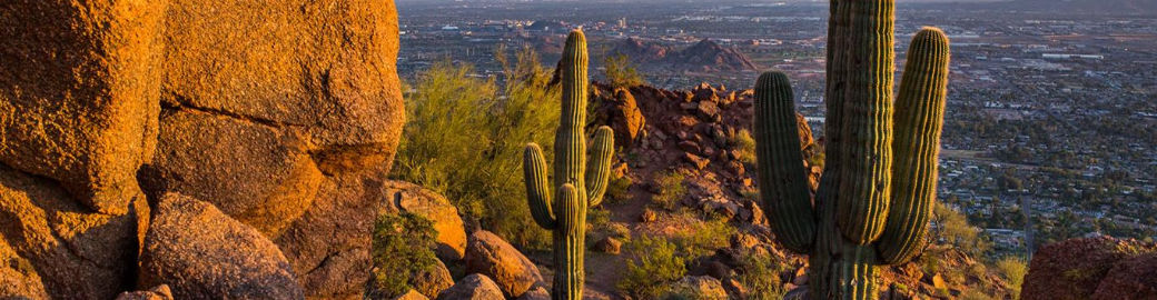 Lorine Lovett Top real estate agent in Litchfield Park