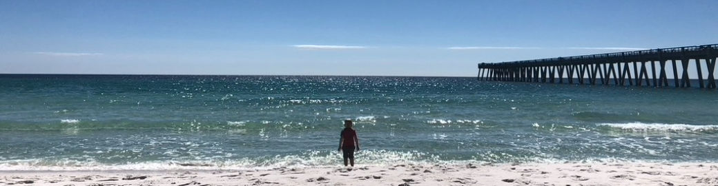 Kathryn Rosenau Top real estate agent in Jacksonville