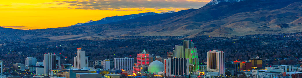 Jodi Kruse Top real estate agent in Reno