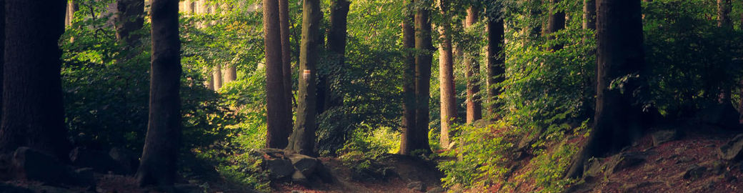 Devin Hudson Top real estate agent in Bowling Green