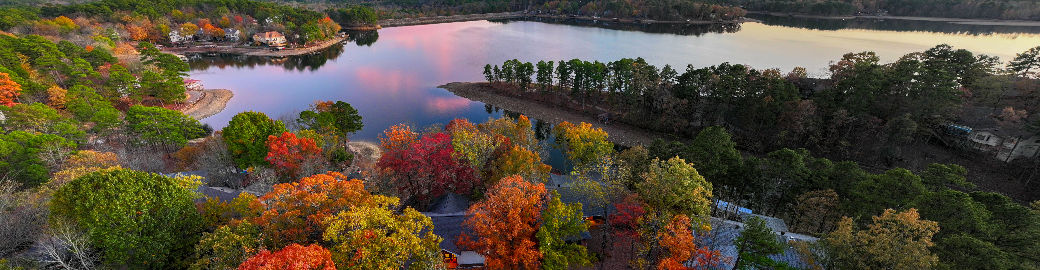 Angela Banks Top real estate agent in Hot Springs Village