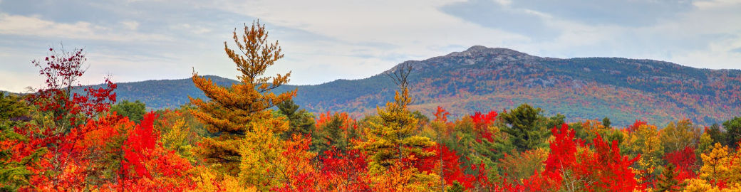 Cassie Eaton Top real estate agent in Keene