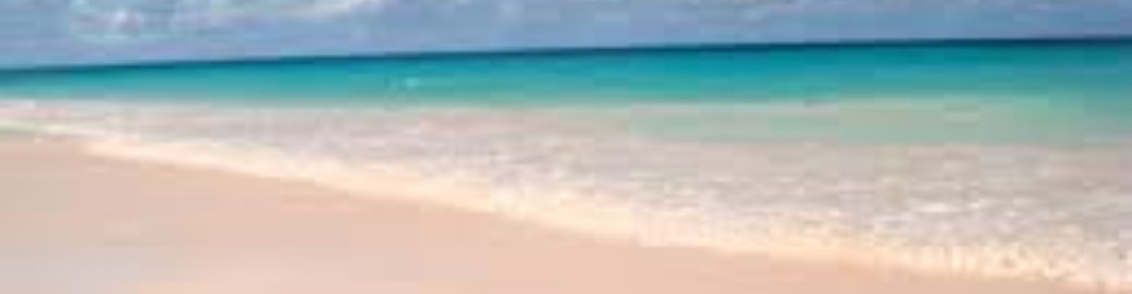 Beth Davis Top real estate agent in Tampa