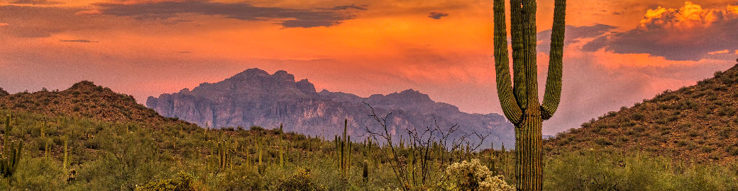 Josh Mendoza Top real estate agent in Phoenix