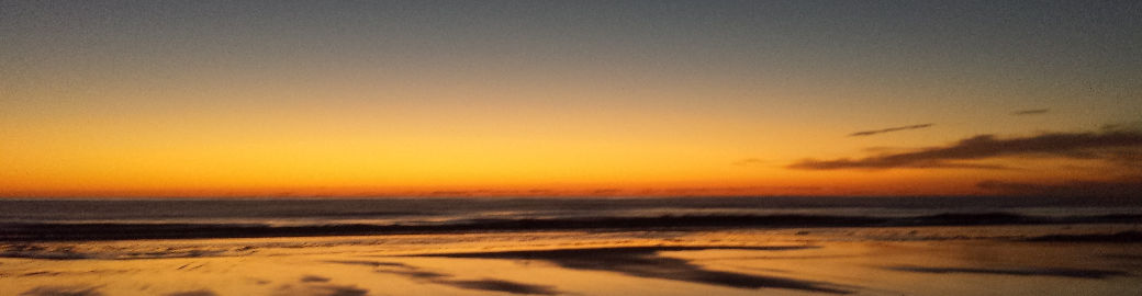 Carol Zingone Top real estate agent in Atlantic Beach