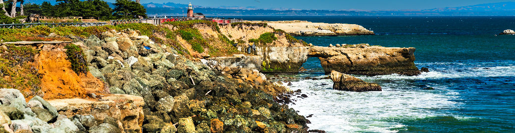 Shemeika Fox Top real estate agent in Capitola