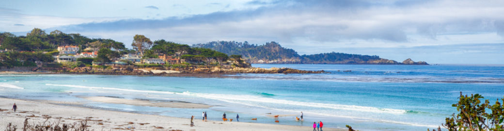 Brandi Jones Top real estate agent in Capitola