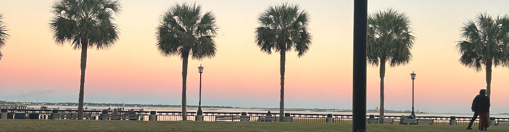 Lisa Biggins Top real estate agent in Summerville