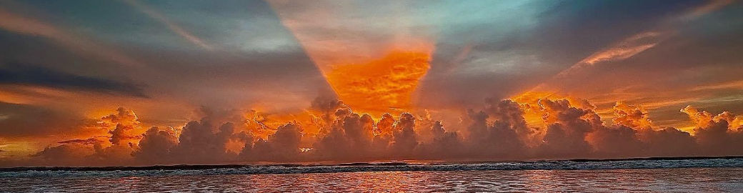 Danielle Fraser Top real estate agent in St. Augustine Beach