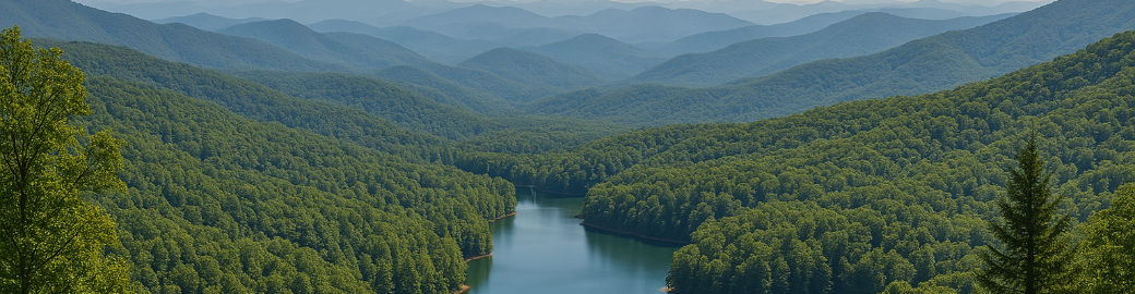 Joe Ballarino Top real estate agent in Charlotte