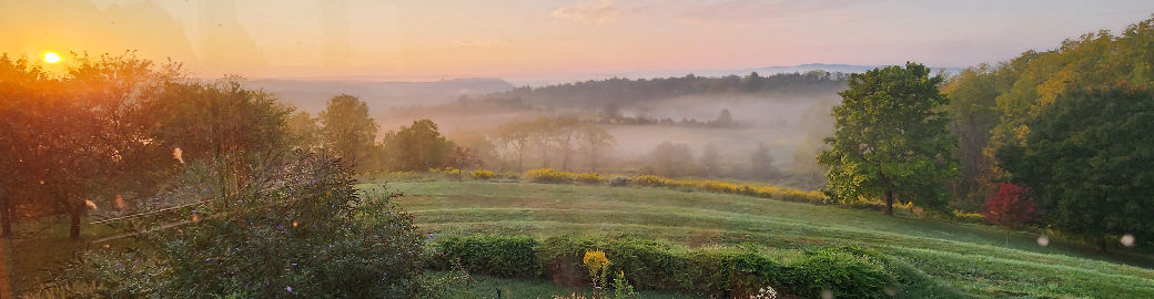 Mary Hodges Top real estate agent in STATE COLLEGE