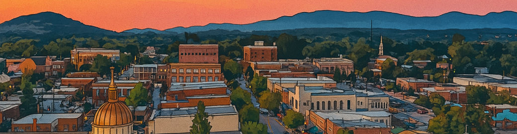 Ryan McAbee Top real estate agent in Hendersonville