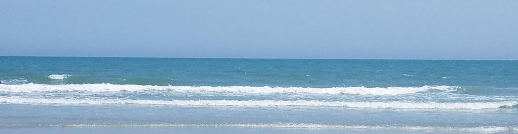 Celia Klein Top real estate agent in Myrtle Beach