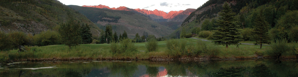 Kyle Denton Top real estate agent in Vail