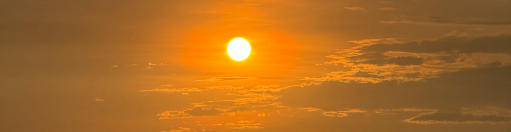 Brittanni Morgan Top real estate agent in Stockbridge