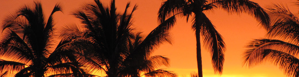 Robert M Top real estate agent in Huntington Beach