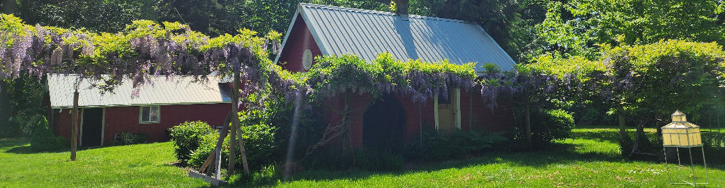 Lori Sinclair Top real estate agent in Bainbridge Island